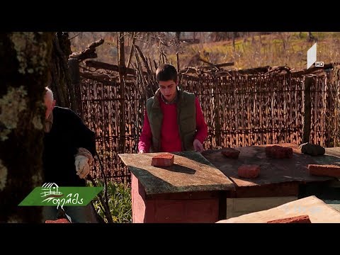 #არტიშოკი სოფელზე და ფერმერებზე შეყვარებული ქალაქელი ბიჭის ამბავი #ფერმაში