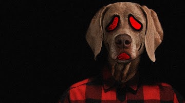 The Most UNSETTLING Analog Horror Series on Youtube