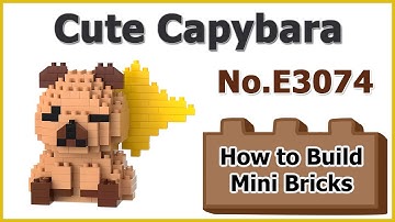 How to Build Mini Blocks Capybara E3074 Review Instructions Specifications