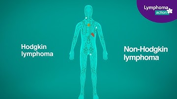 What is lymphoma - an animated introduction to lymphoma