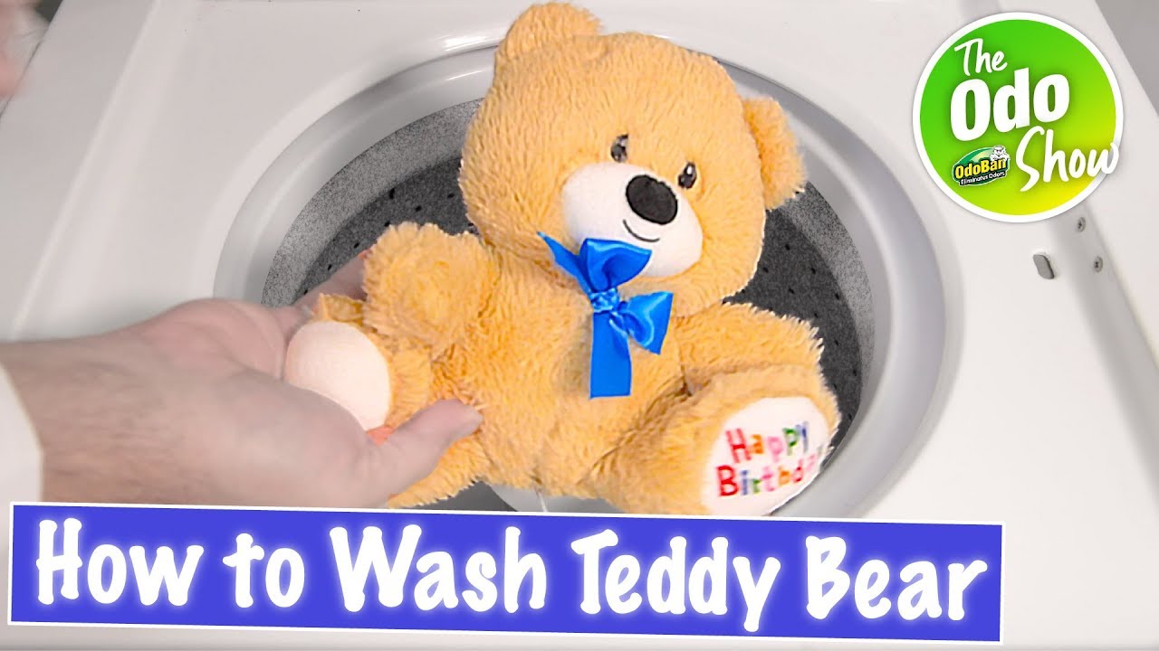 washing teddy bear in washing machine