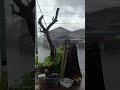 ฝนตกอีกแล้วจ้าเมื่อคืนก็ตกเมื่อคืน