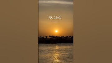 تبت يدا أبي لهب وتب ||  #سورة_المسد كاملة #محمد_اللحيدان