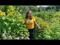 From seed to harvest a year of cultivating a bountiful garden