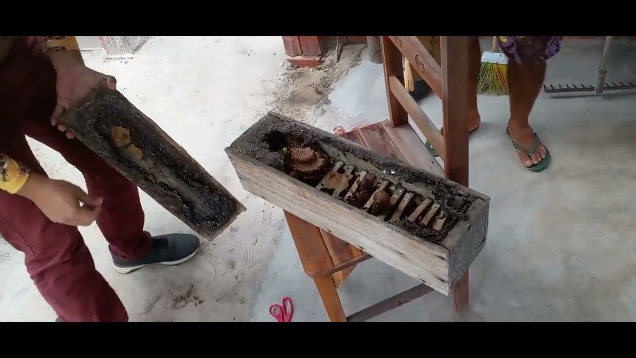 DIVISÃO DE JANDAÍRA PASSO A PASSO