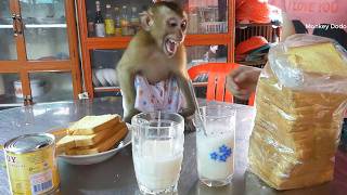 Super Crying Dodo Wants Milk! Patient Mom Explains Why He Has to Wait