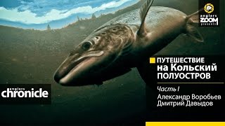 видео: Путешествие на Кольский полуостров. Часть 1. Александр Воробьев. Дмитрий Давыдов. Anglers Chronicle. картинка: Путешествие на Кольский полуостров. Часть 1. Александр Воробьев. Дмитрий Давыдов. Anglers Chronicle.