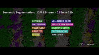 Multiple Field Segmentations at 20FPS Stream - 0.55mm GSD