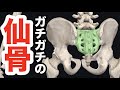 ガチガチの””慢性腰痛””を一撃でユルユルにして再発を防ぐ、仙骨リリーステクニック!!【腰痛 治し方 ストレッチ】How to loosen the sacrum and cure back pain