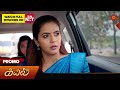 Kayal  special promo  10 may 2024   tamil serial  sun tv