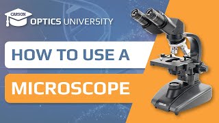 How To Use A Microscope With Carson Optics University
