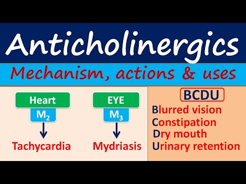 Anticholinergics - Mechanism, actions, side effects & uses
