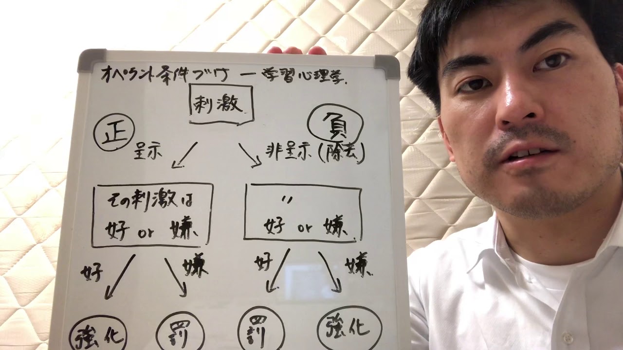 学習心理学 正の強化 正の罰 負の強化 負の罰 Youtube