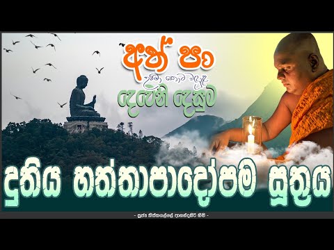 දුතිය හත්තාපාදෝපම සූත්‍රය | Australia Tour 2025 | Anandasiri Thero