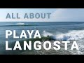 Locals surf guide discover playa langosta