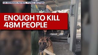 K-9 sniffs out drug bust in Yuma