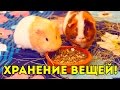 Хранение Вещей Морских Свинок / Прогулки по Квартире / Свинки Шоу / SvinkiShow