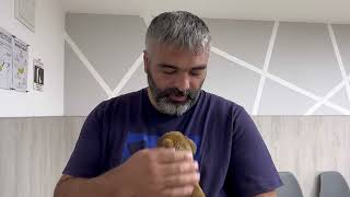 картинка: Щенок попал в ветклинику 