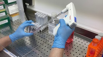 Cell Culture Protocol for PC-3 Cells
