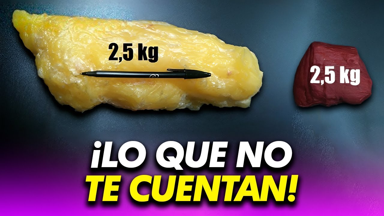 La IMPORTANCIA del MÚSCULO y la GRASA en tu cuerpo. ADELGAZA - YouTube