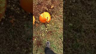 HOW TO CARV A PUMPKIN!