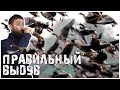 Охота на гуся 2021 (Как научиться манить) правильный выдув