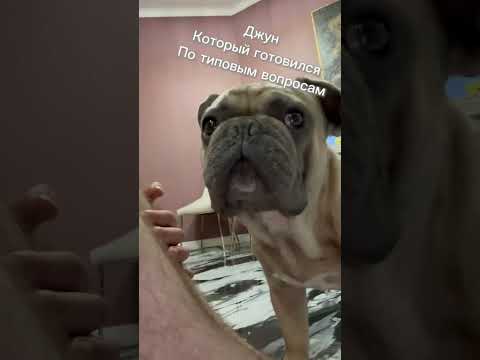 Боитесь такой ситуации на собеседование?