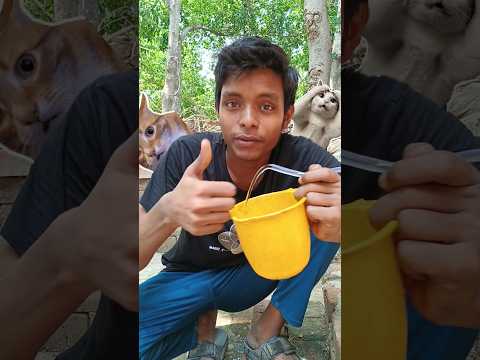 Removed Water Using My Thumb! | Siphon Effect#sciencetrick #physics #SiphonEffect