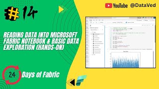 Day 14 | 24 Days Series of Microsoft Fabric | Reading Data into Notebook & Basic Data Exploration Net Worth