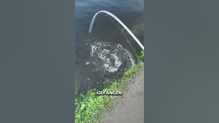 Unerwartete Situation am Forellenteich👀 #fishing #angeln #forellen