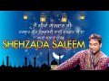 BHOLE DI BARAAT | MASTER SALEEM | MELA 11ਵੀਂ SARKAR 2016 | BEST LIVE PERFORMANCE | FULL VIDEO HD Mp3 Song