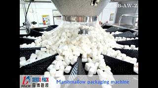 Marshmallow packaging machine for hole punch bag and pillow bag
