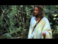 Jesus Film (Nederlands)