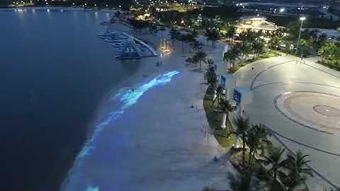 Clip thực tế công nghệ 3D Mapping tại Bãi biển Dragon Ocean Đồ Sơn, Hải Phòng