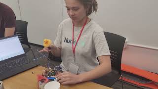 Rubber Ducky (code visualization tool)- HackHarvard 2022 project