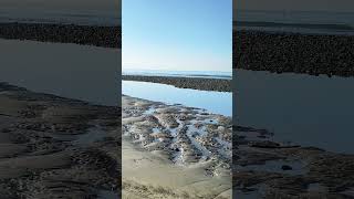 Maspalomas, hoy si, día espectacular. #maspalomasenvivo