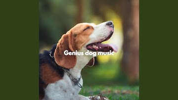 Debonair Backdrops for Forgetting Mirrors