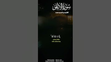 سورة الأعلى بصوت عبد الرحمن مسعد