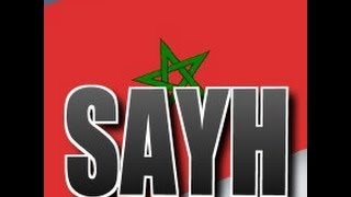 Ayoub Sayh2014