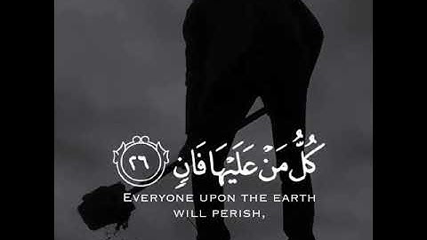 قرآن كريم | تلاوة تخشع لها القلوب | حالت واتس | (كل من عليها فان) 😔💔