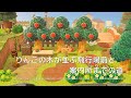 【あつ森】新シリーズ！りんごの木が並ぶ飛行場前と案内所までの道 |　Airfield to Information Center | ACNH【島クリエイト】