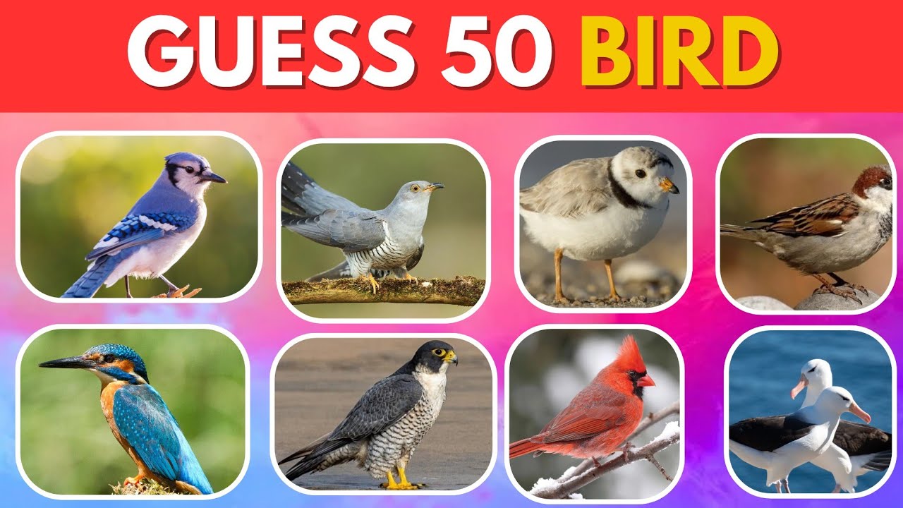 Guess 50 Animals in 7 Seconds | Easy, Medium, Hard, Impossible