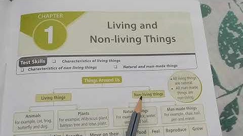 NSO National Science Olympiad Class 1 CHAPTER 1