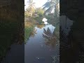 apakah sungai di daerah kalian begini juga kotornya???