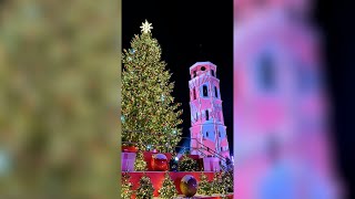 Į sostinės Katedros aikštę plūsta minia žmonių: džiugins šviesų šou ir vaizdo instaliacijos