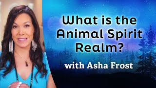 What Is the Animal Spirit Realm?