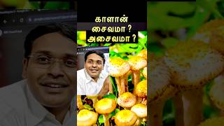 Mushroom Veg Or Non Veg? Full Video Syoutu.be760T5Iatmhw