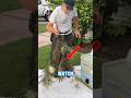 How to Move a Bee Hive from a Tree to an Artificial Hive &ndash; Safe &amp; Easy Method! # transfer bee colony