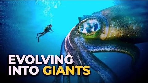 Deep Ocean Monsters You Were Never Meant to See.