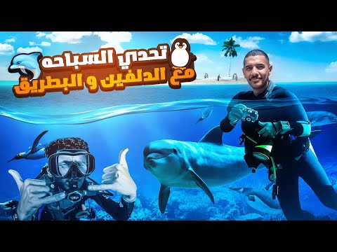 فيديو: ماركات الساعات الشهيرة. ماركات ساعات المعصم